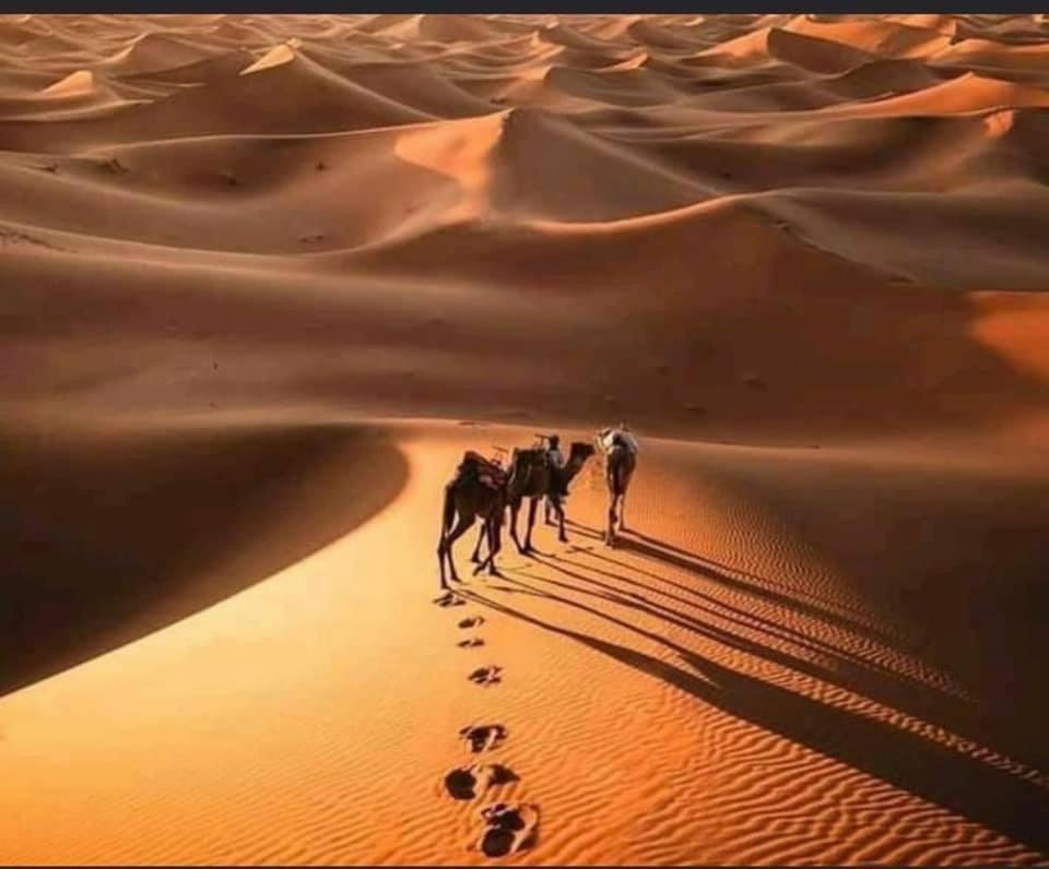 Camp Desert Bivouac Chegaga El Gouera Zewnętrze zdjęcie