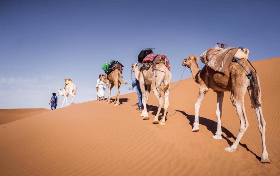 Camp Desert Bivouac Chegaga El Gouera Zewnętrze zdjęcie