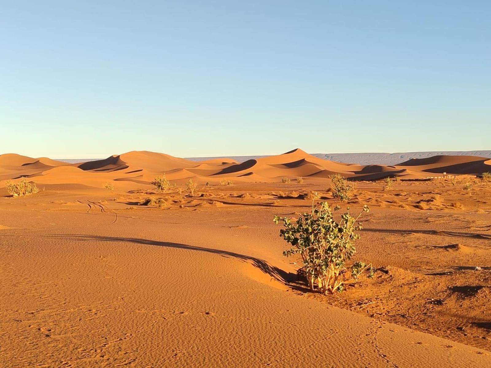 Camp Desert Bivouac Chegaga El Gouera Zewnętrze zdjęcie