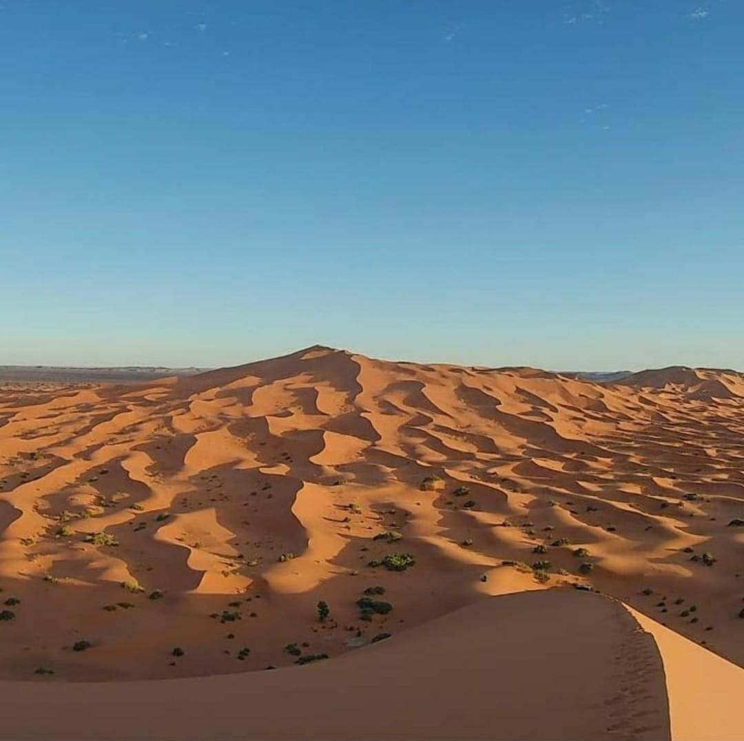 Camp Desert Bivouac Chegaga El Gouera Zewnętrze zdjęcie