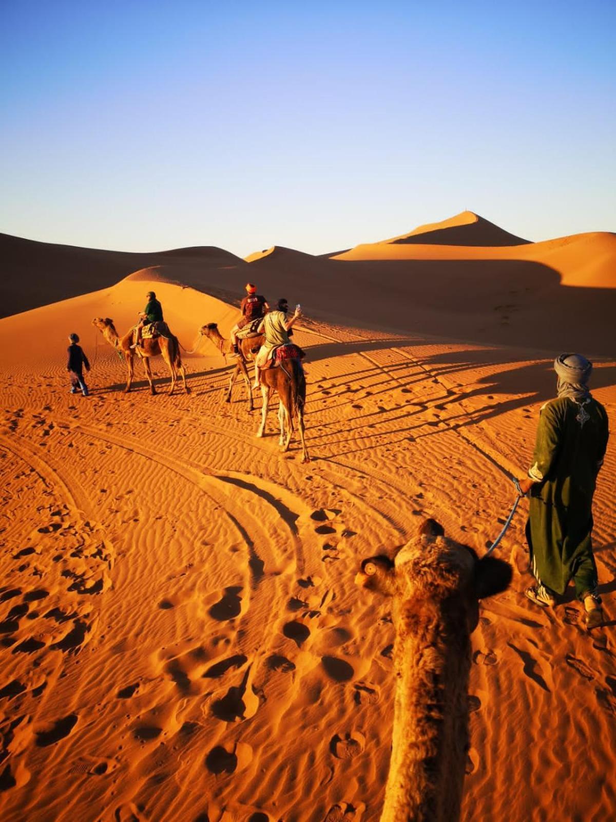 Camp Desert Bivouac Chegaga El Gouera Zewnętrze zdjęcie