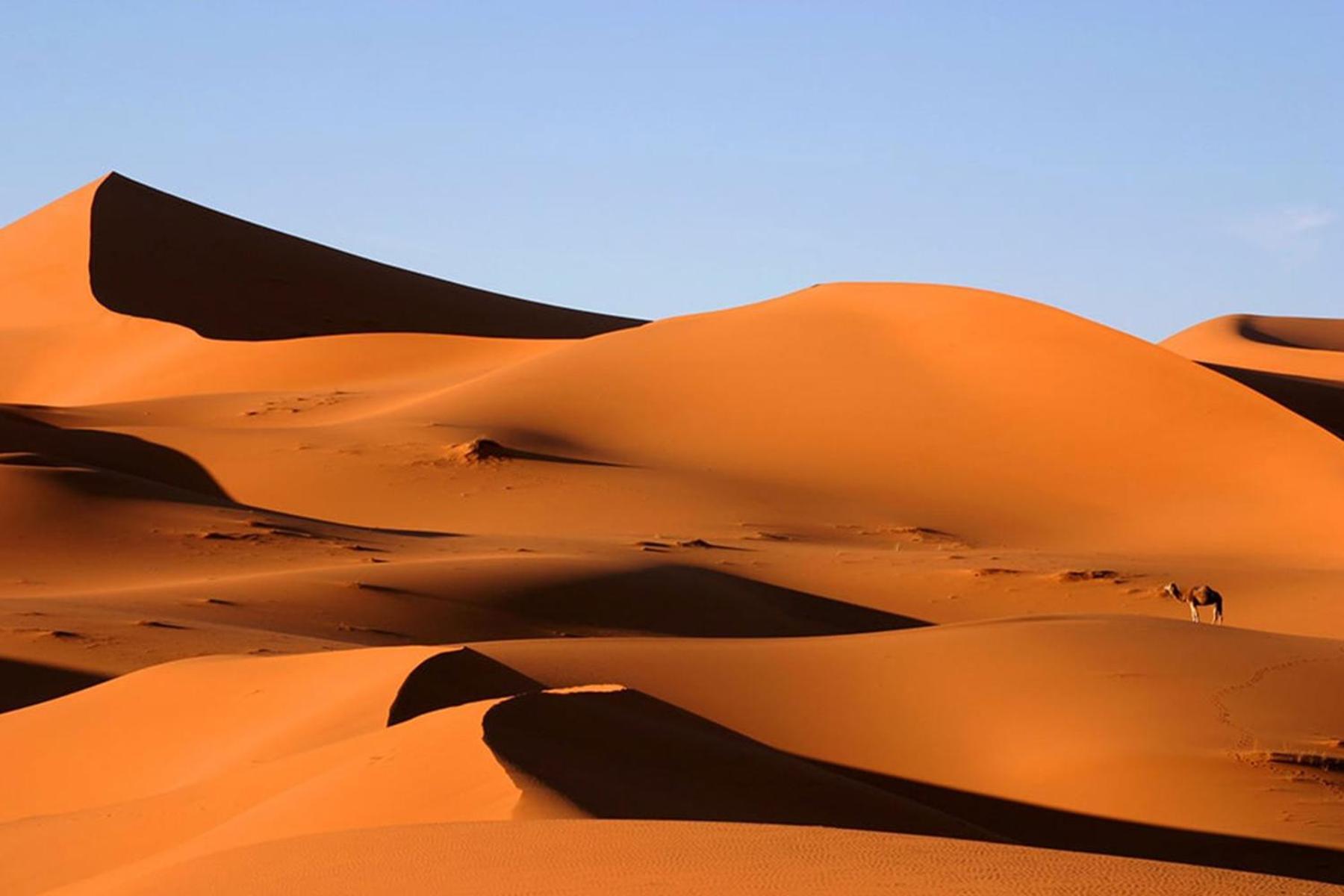 Camp Desert Bivouac Chegaga El Gouera Zewnętrze zdjęcie