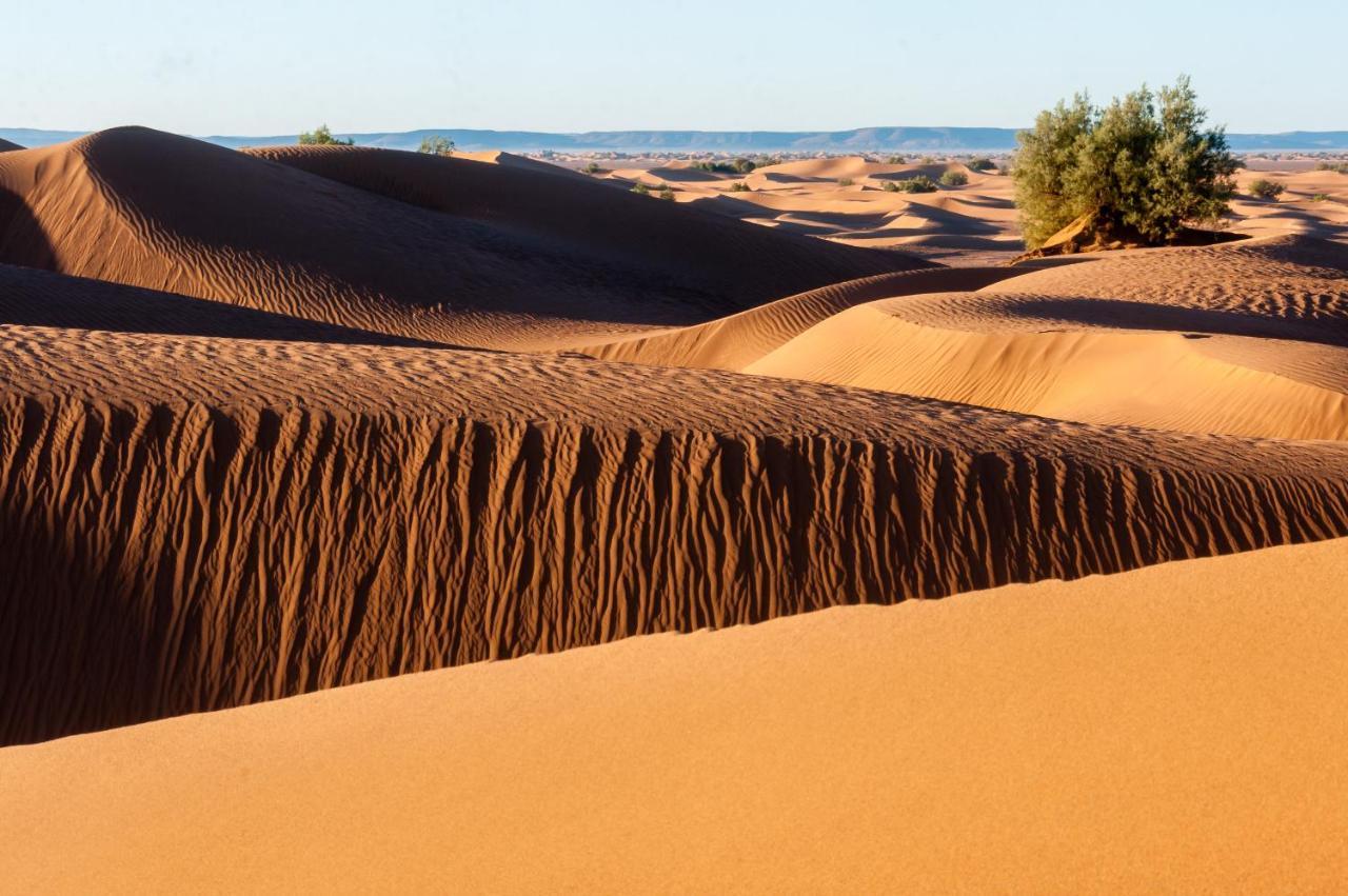 Camp Desert Bivouac Chegaga El Gouera Zewnętrze zdjęcie